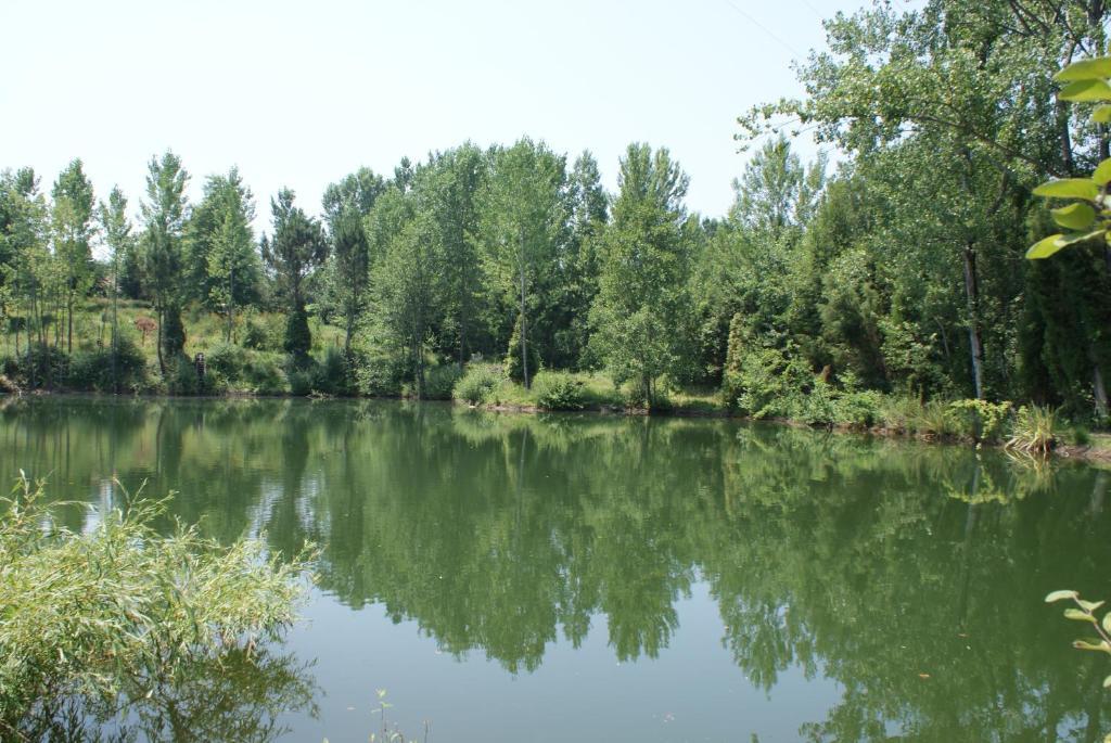 Гостьовий будинок Quinta Do Sobreiro Віла-Верді Екстер'єр фото